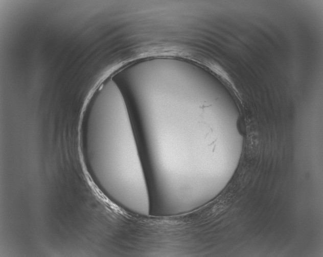 X0000054431088200507290945