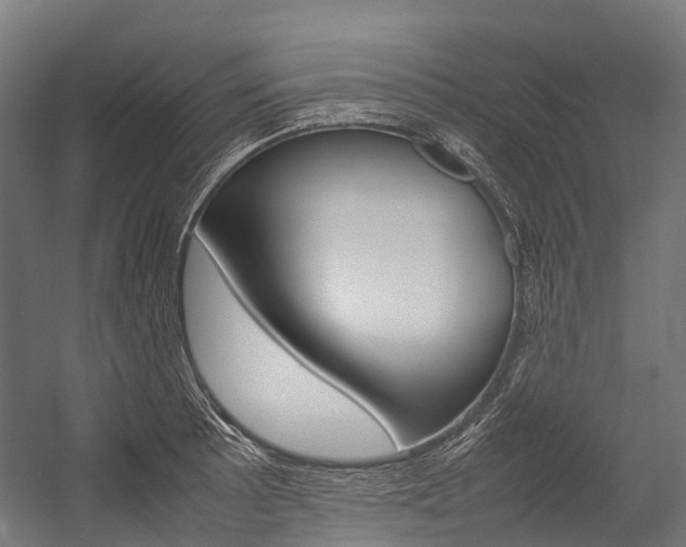X0000054431089200507290945