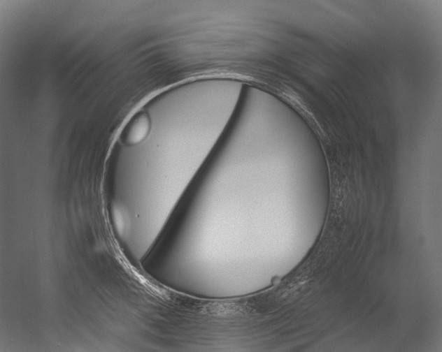 X0000054431092200507290945