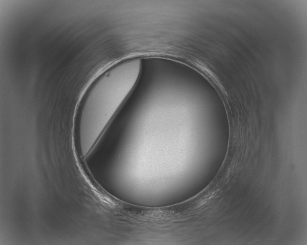 X0000054431093200507290945