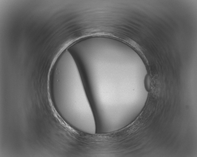 X0000054431096200507290945