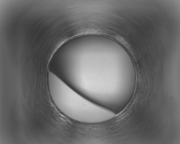 X0000054431097200507290945