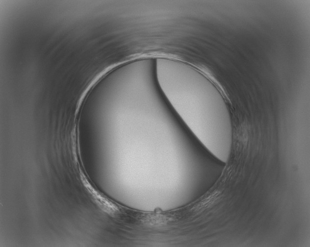 X0000054431100200507290945