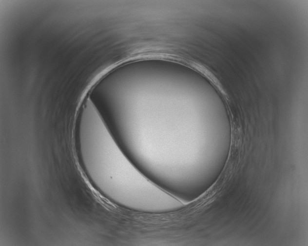 X0000054431101200507290945
