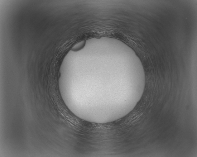 X0000054431105200507290944
