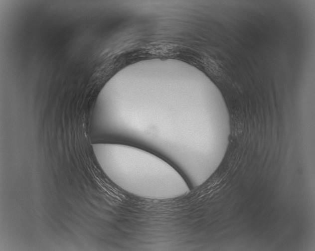 X0000054431106200507290944