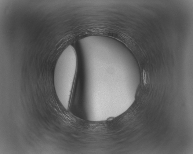 X0000054431107200507290944