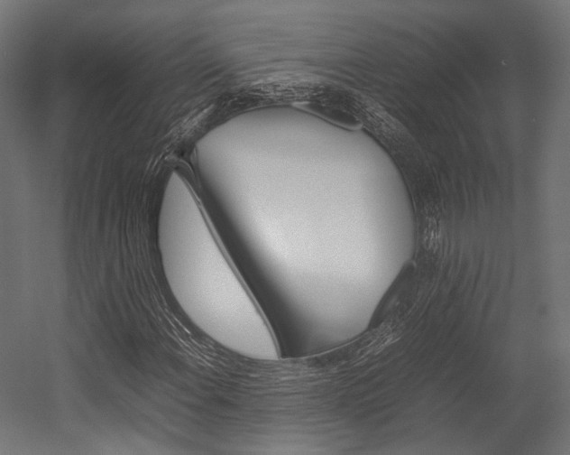 X0000054431108200507290944