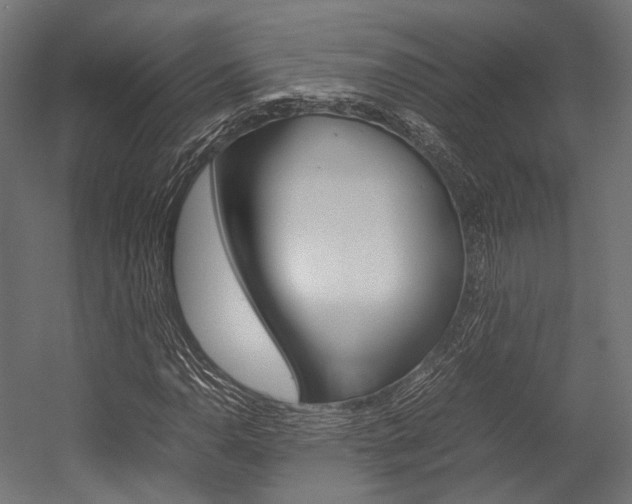 X0000054431110200507290944