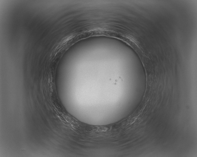 X0000054431111200507290945