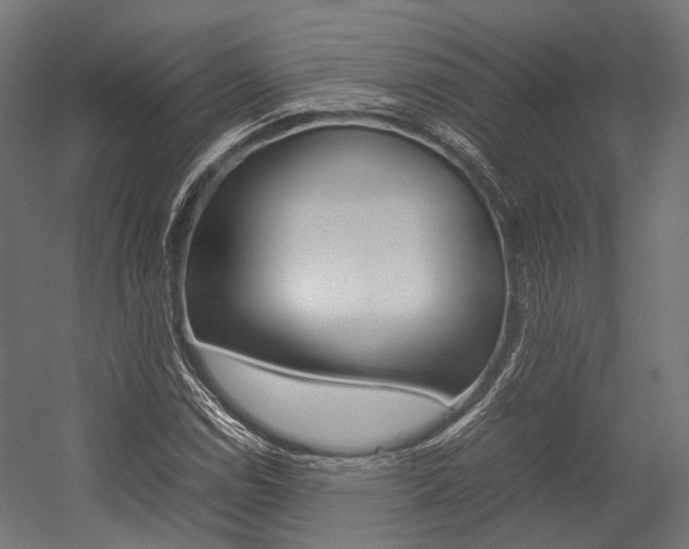 X0000054431114200507290945