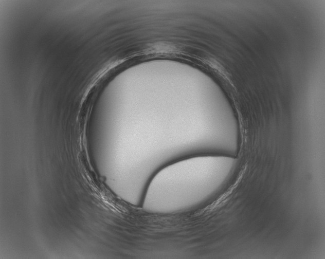 X0000054431117200507290945