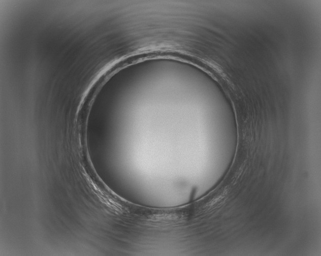 X0000054431118200507290945