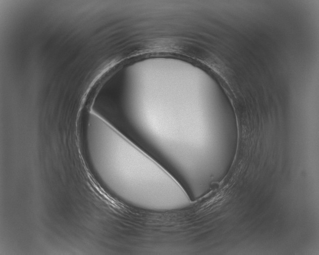X0000054431119200507290945