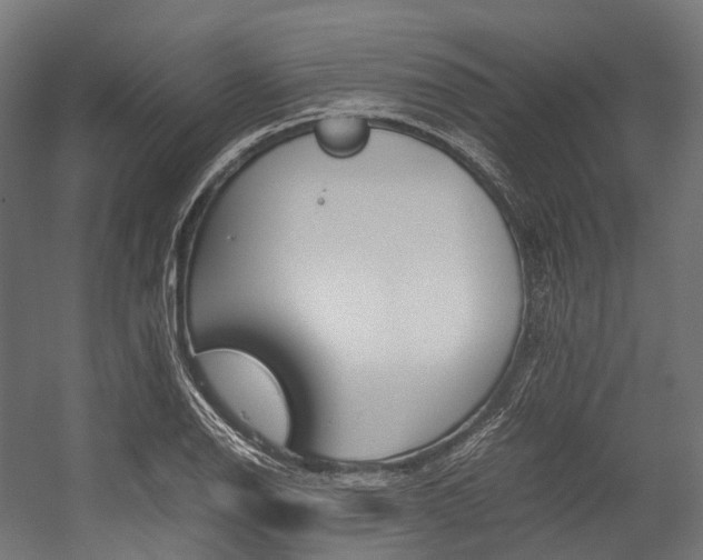 X0000054431126200507290945