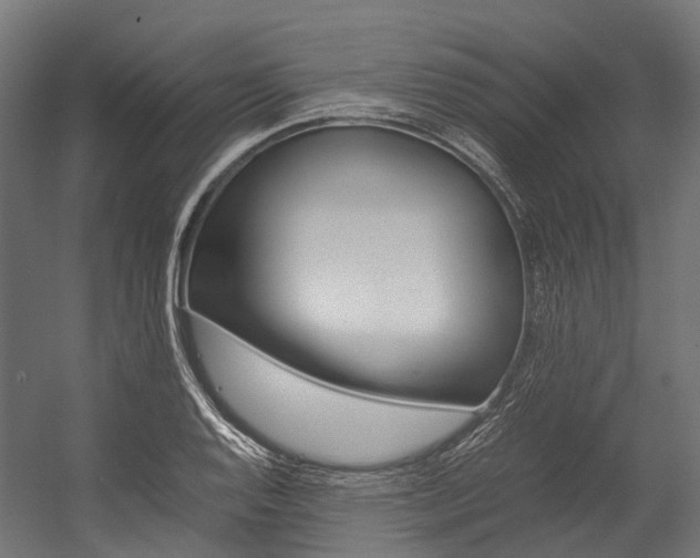 X0000054431128200507290945