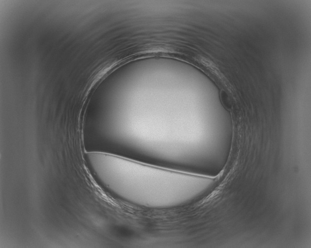 X0000054431129200507290945