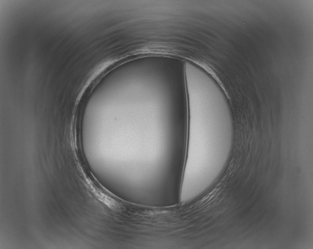 X0000054431131200507290945