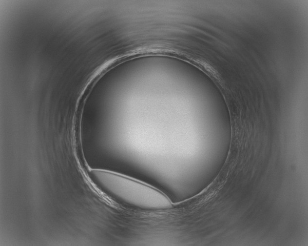 X0000054431134200507290945