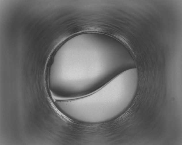 X0000054431135200507290945
