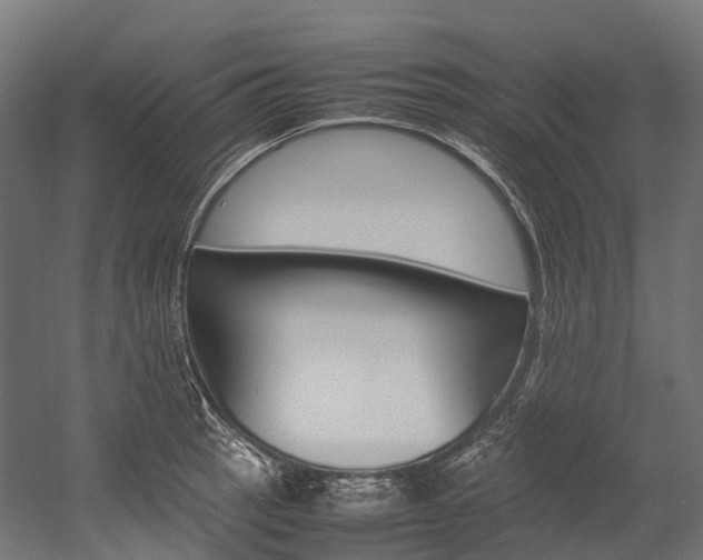 X0000054431137200507290945