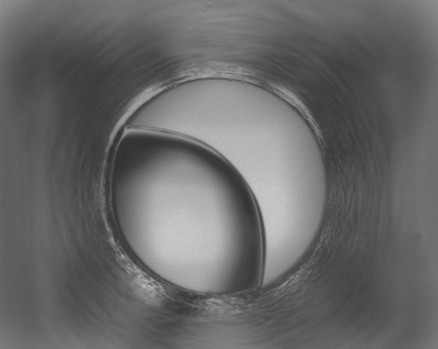 X0000054431138200507290945