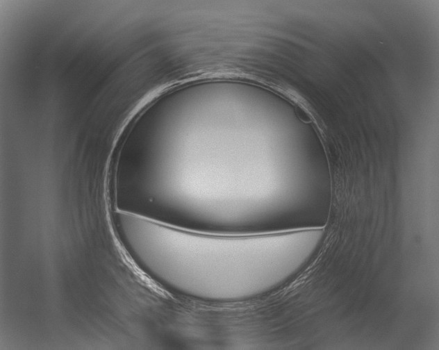 X0000054431142200507290945