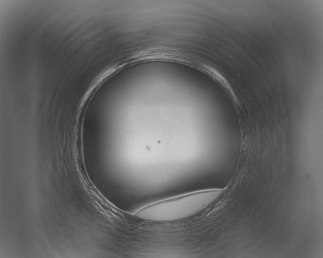 X0000054431146200507290945