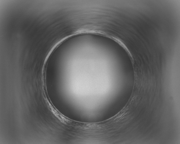 X0000054431148200507290945