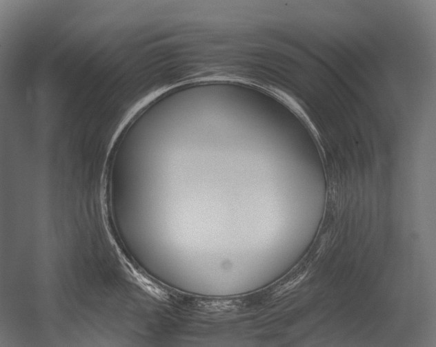 X0000054431149200507290945