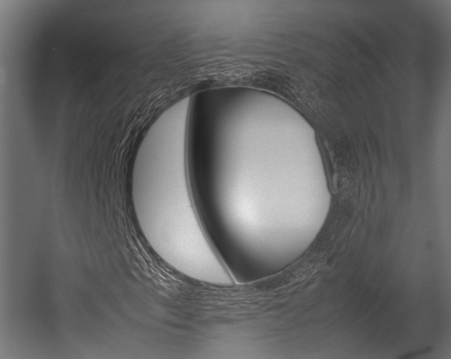 X0000054431153200507290944
