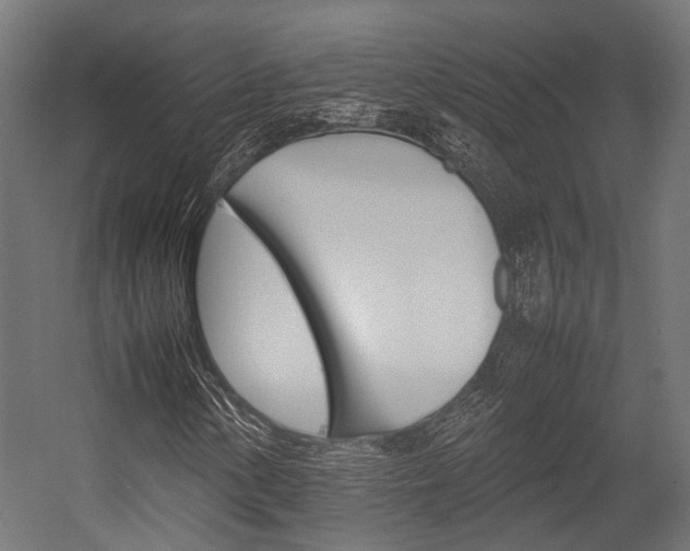 X0000054431154200507290944
