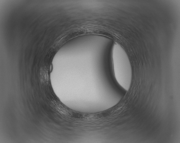 X0000054431155200507290944