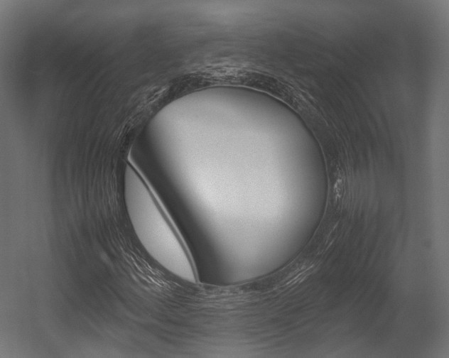 X0000054431156200507290944