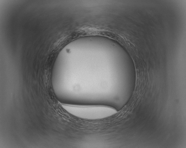 X0000054431157200507290944