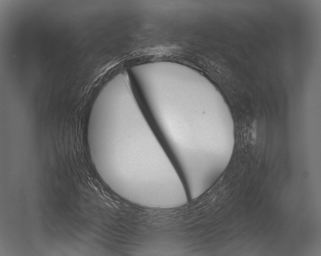 X0000054431158200507290944