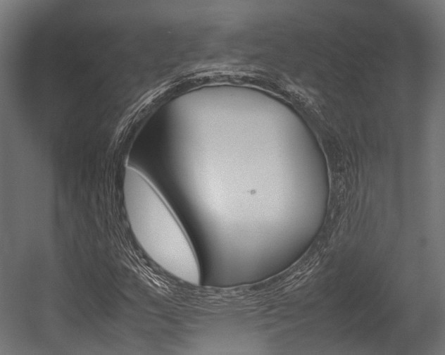 X0000054431159200507290944
