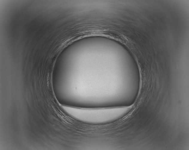 X0000054431161200507290944