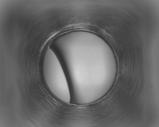 X0000054431166200507290944