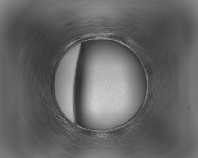 X0000054431169200507290944
