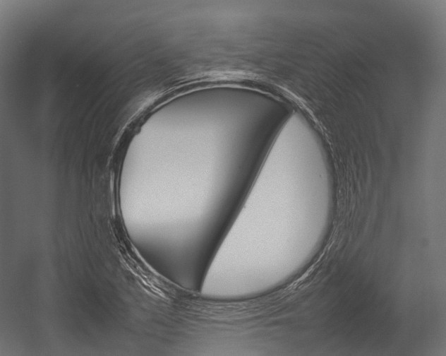 X0000054431171200507290944