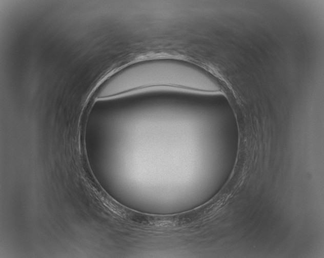 X0000054431173200507290944