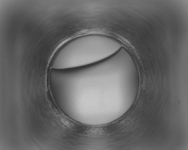 X0000054431174200507290944