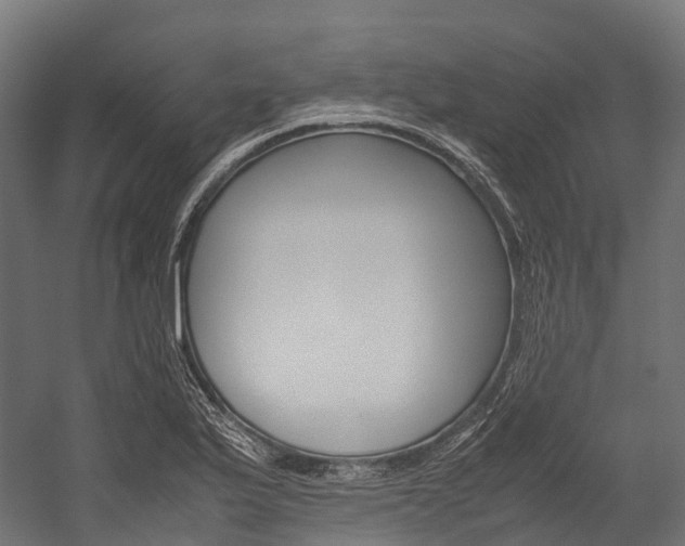 X0000054431175200507290944