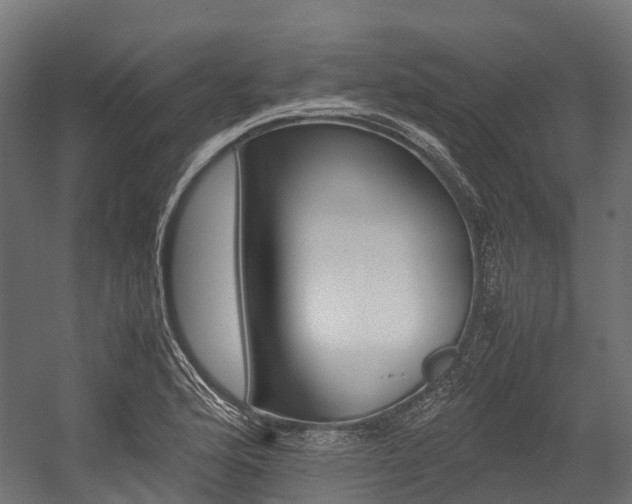 X0000054431176200507290944