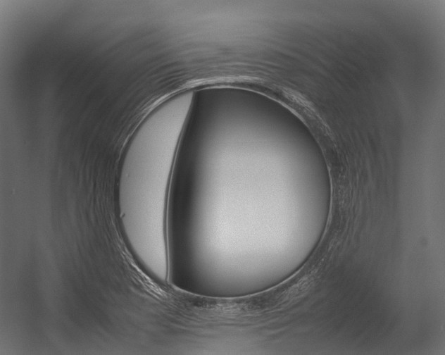 X0000054431177200507290944