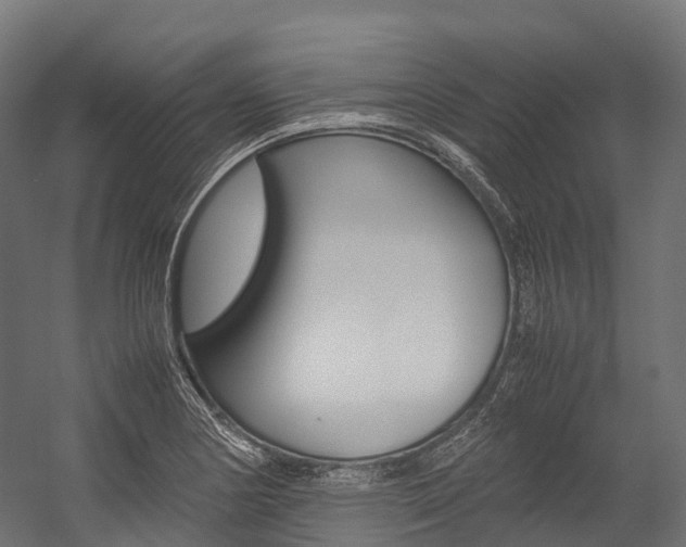 X0000054431178200507290944