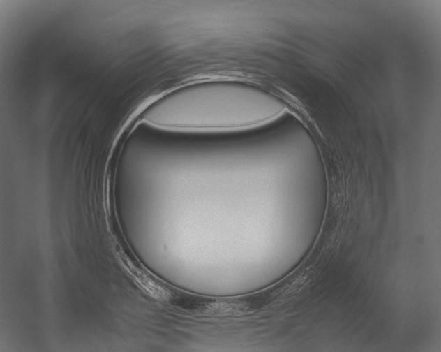X0000054431179200507290944
