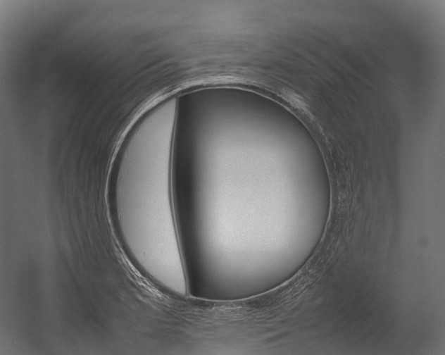 X0000054431181200507290944
