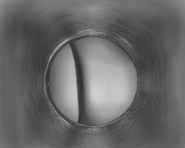 X0000054431182200507290944